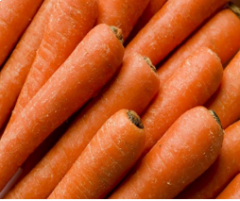 Jumbo Carrots - 50 Lbs