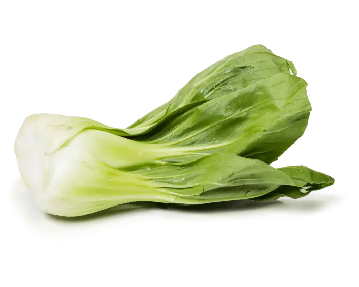 Shanghai Bok Choy_30Lbs