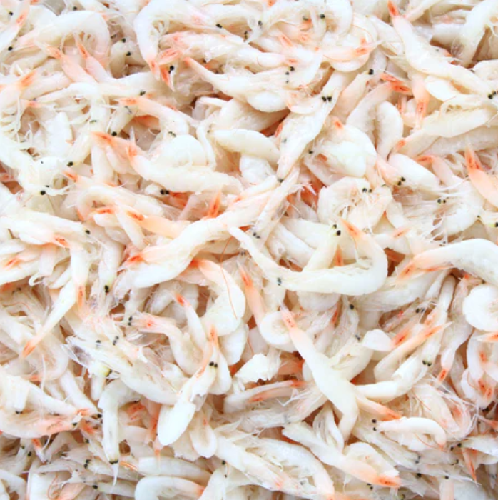Bulk Salted Shrimp 44Lbs, 새우젓