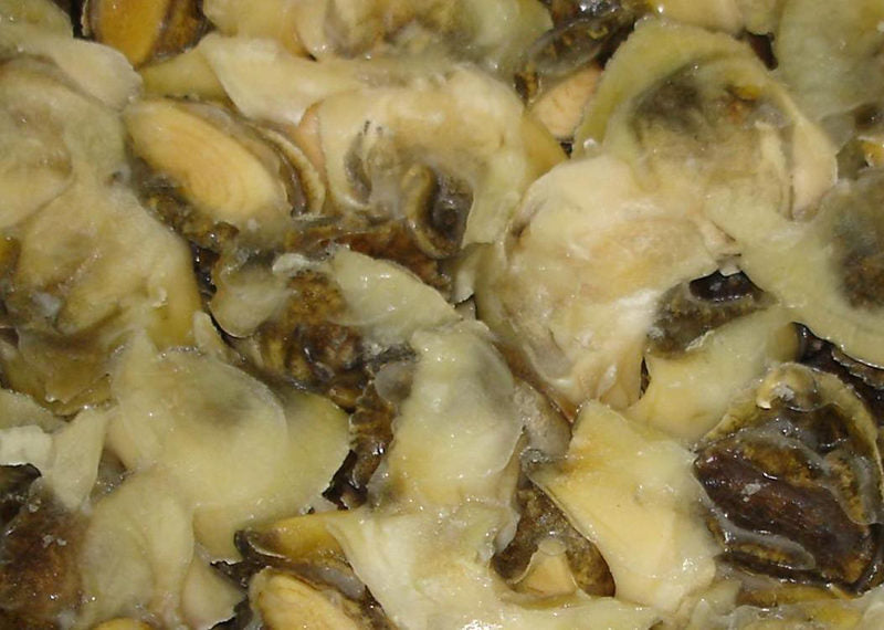 Frozen European Conch - Cleaned, Fully Cooked, 44.1 Lb Box