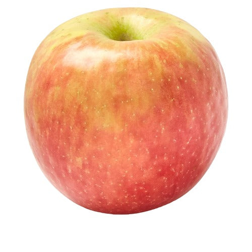 Fuji Apple 48CT