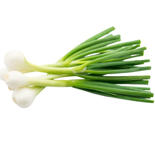 Green Onion, Mexican (Cambray)