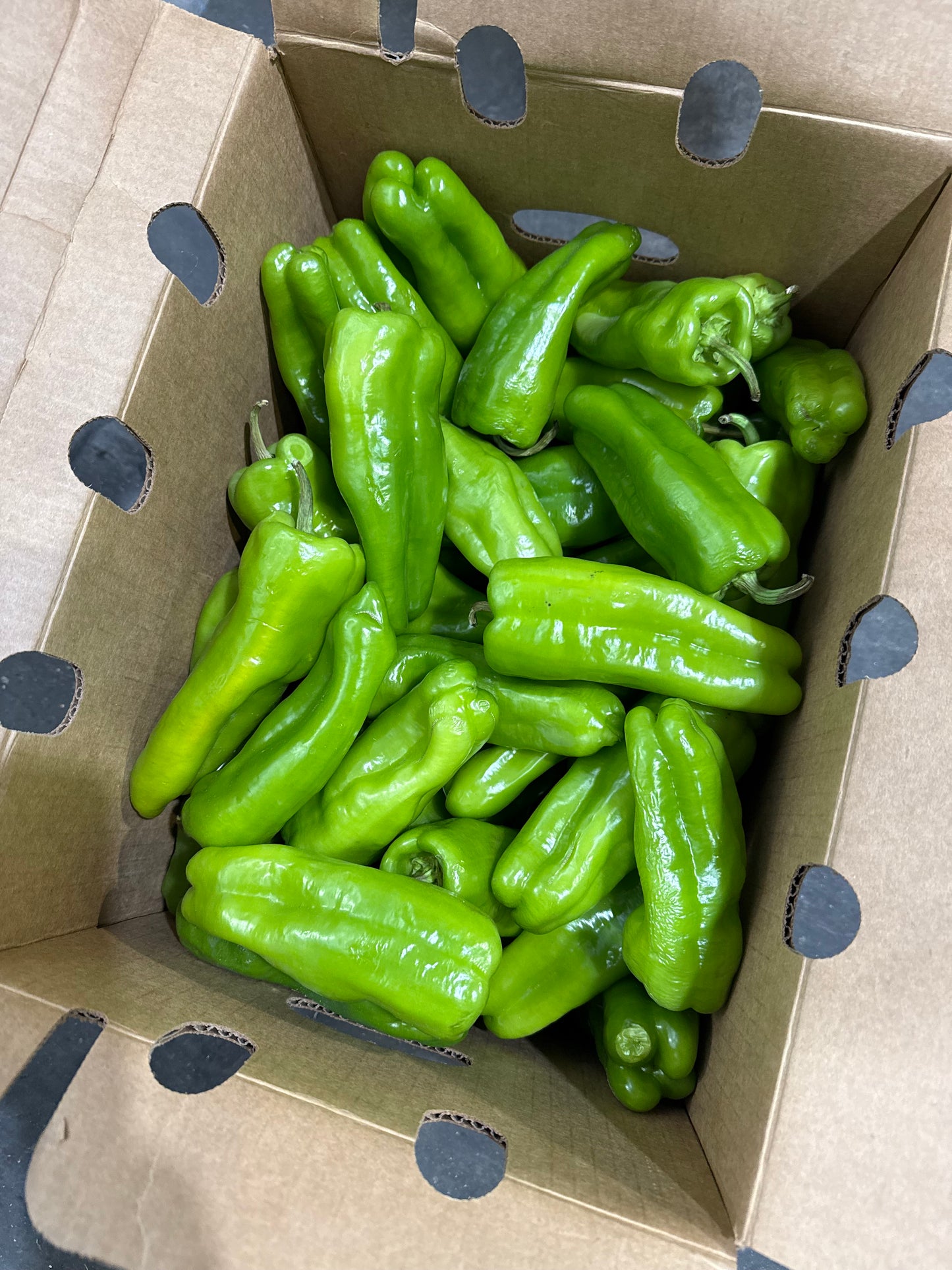 Cubanelle Pepper