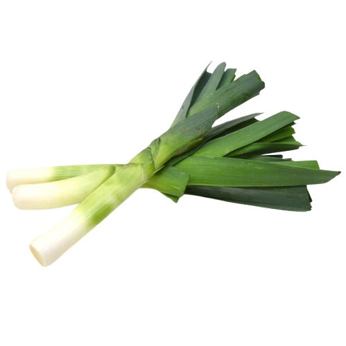 Leek, 미국 대파