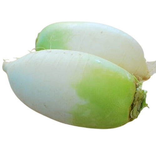 Radish, Korean (1 EA)