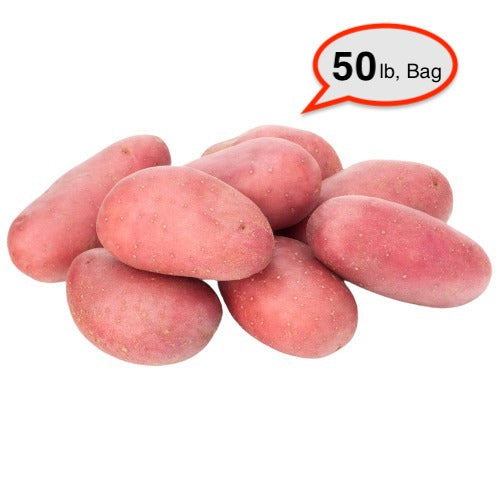 Red Potato, Bag, 50 lb