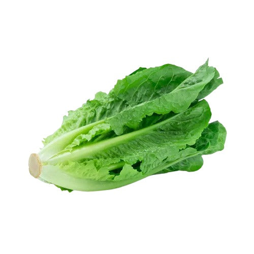 Romaine Lettuce, 24 / case