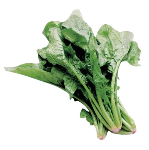 Bunch Spinach, USA