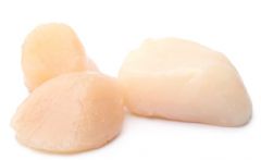Scallop 10-20 6 X 5Lb 30lb