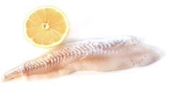 Frozen Whiting Fillets