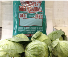 Green Cabbage - 50 Lbs (Bag)