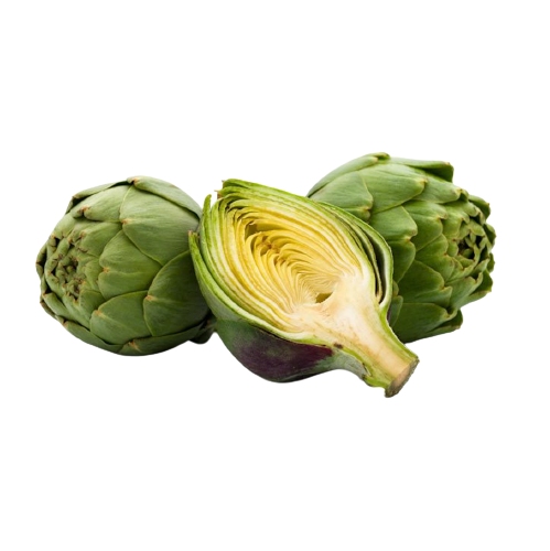 Artichoke 24ct Box