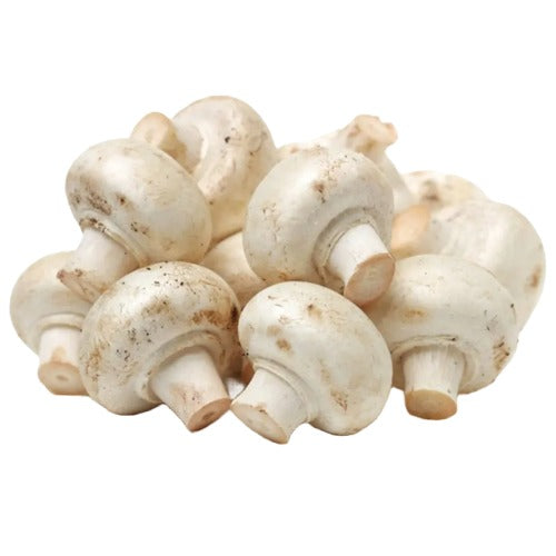 Button Mushroom White (10LB), Medium