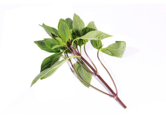 Thai Basil (1Lbs)