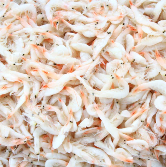 Bulk Salted Shrimp 44Lbs, 새우젓