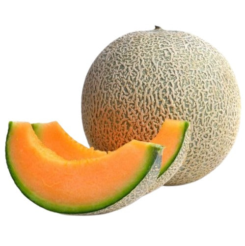 Cantaloupe 9 c t , 캔탈롭