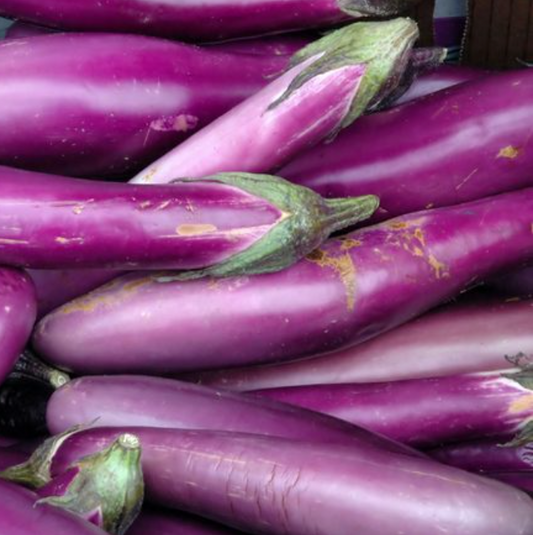 Chinese Eggplant, 30LB, 중국 가지