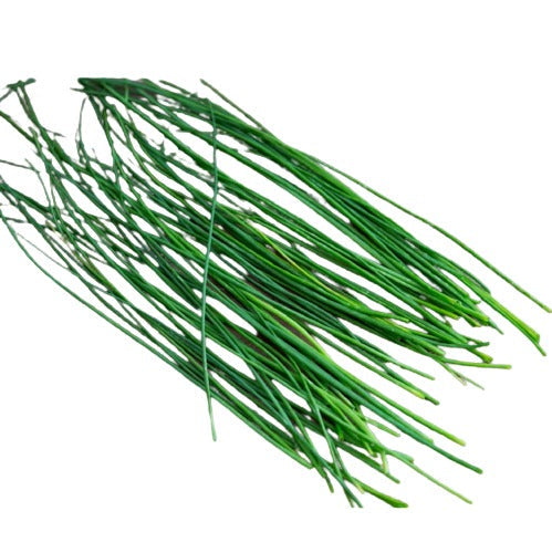 Chives, Mexico  10LB, 부추