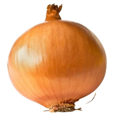Yellow Onion, Colossal 50LB