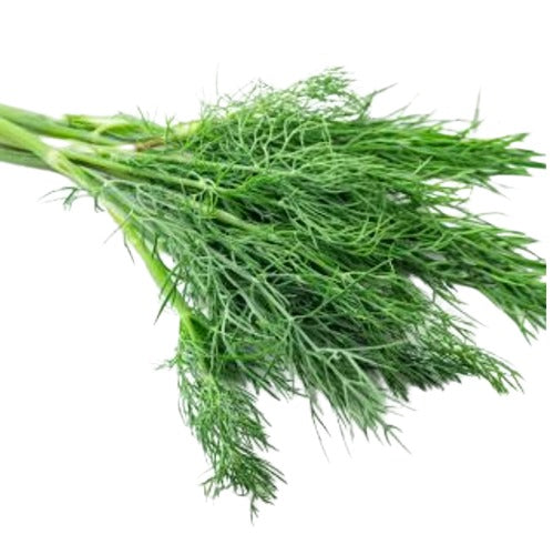Dill, 고수