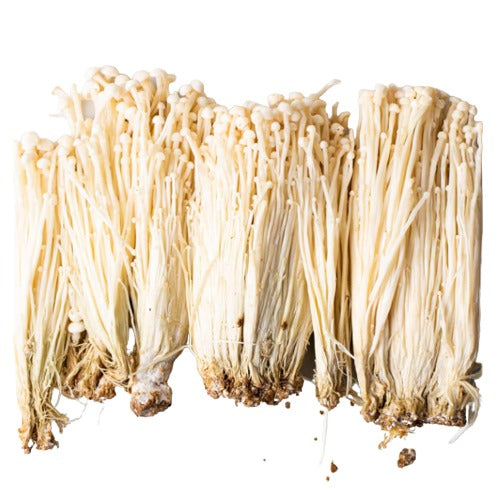 Enoki Mushroom, 200g, 25EA, 이노끼