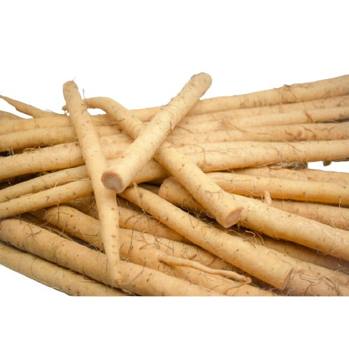 Gobo, Burdock Root