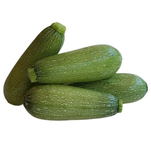 GREY SQUASH (PIPIAN) Mexico