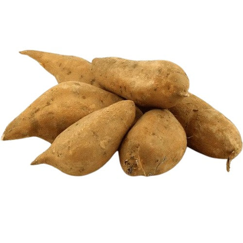 Jumbo Yam,
