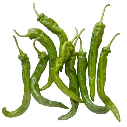 Long Hot Pepper, Green