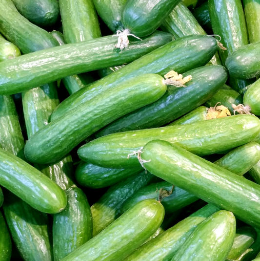 Mexican Cucumber (Super Select)
