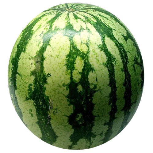 Seedless Watermelon