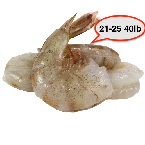 Shrimp 21-25 40lb, 새우
