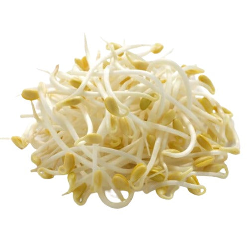 Soybean Sprouts, 10 X 1lb,