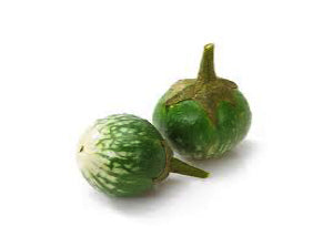 Thai Eggplant