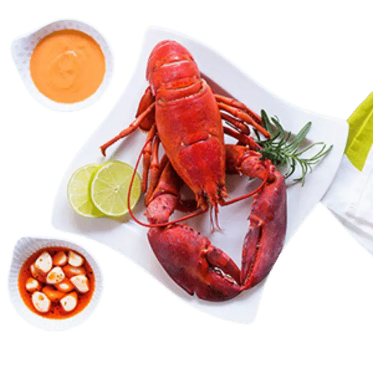 Seafood_Lobster Hard-shell Chix