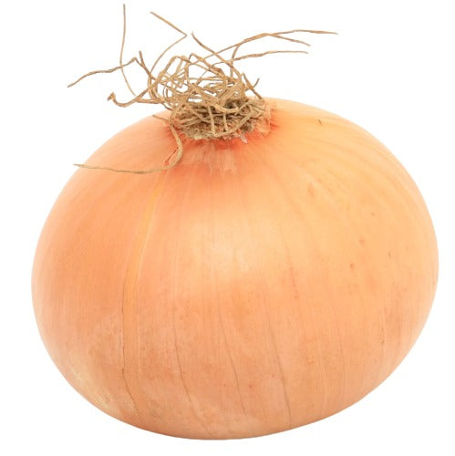 Yellow Onion, Jumbo 50LB