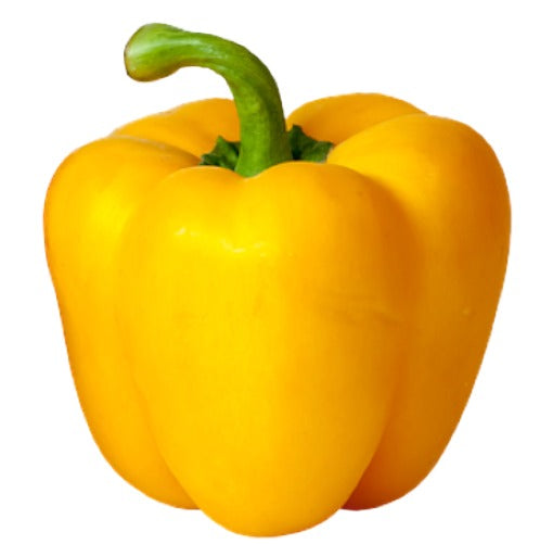 Yellow Pepper