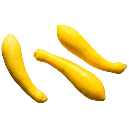 Yellow Squash Usa 18LB