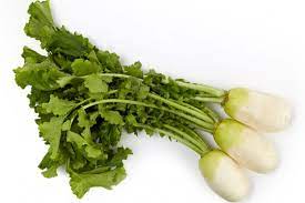 Young Radish USA (총각무) 45 Bunch