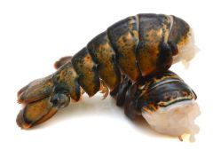 6Oz RK Lobster Tail