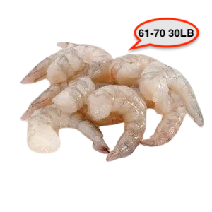61/70 India PDTOFF iQF, 깐새우_40 Lbs