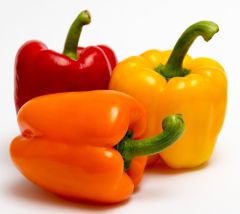 Mix Pepper (Red/Yellow/Green)_2Lbs